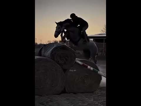 Che saltone che o fatto🩷💜