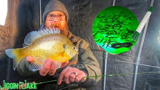 ICE FISHING with a CHEAP Amazon Bait Light | DOES IT WORK???
