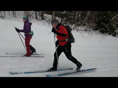 Biegówki u Leśników - narty to nasmarowali...