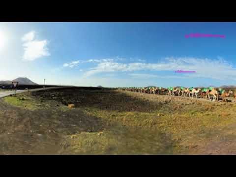 VR360 Spain lanzarote Camel ride Timanfaya mountain HDR