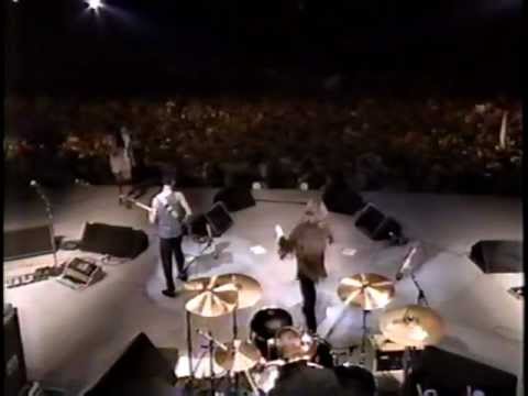 U2 Live at the Amnesty International Concert 1986