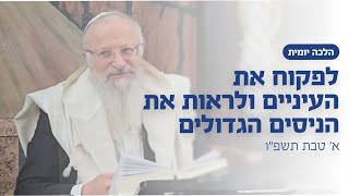 לפקוח את העיניים ולראות את הניסים הגדולים | הרב שמואל אליהו | הלכה יומית | א׳ טבת תשפ״ו (הרב שמואל אליהו) - התמונה מוצגת ישירות מתוך אתר האינטרנט יוטיוב. זכויות היוצרים בתמונה שייכות ליוצרה. קישור קרדיט למקור התוכן נמצא בתוך דף הסרטון