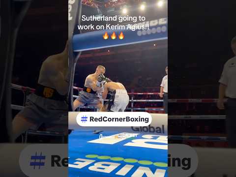 Marcus Sutherland STOPPING Kerim Agius IN ROUND ONE! 🔥 #Boxing #MarcusSutherland #RedCornerBoxing