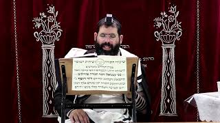 זבחים דף פ"ט ע"א ¤ הרב נתנאל אברז'ל ¤ בית הכנסת "בית מרדכי" (מוסדות תורת דוד) - התמונה מוצגת ישירות מתוך אתר האינטרנט יוטיוב. זכויות היוצרים בתמונה שייכות ליוצרה. קישור קרדיט למקור התוכן נמצא בתוך דף הסרטון