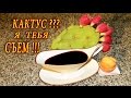 КАК ПРИГОТОВИТЬ ВАРЕНЬЕ ИЗ КАКТУСА. ДОМАШНИЕ РЕЦЕПТЫ С ВИДЕО №70 ...