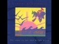 Walking In The Garden - A Flock Of Seagulls