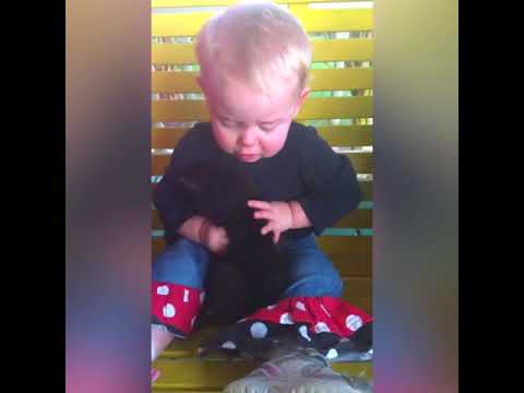 NTD Funniest   Baby and kitten are best friend! These