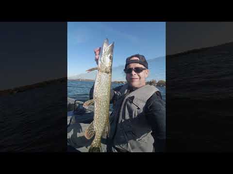 Last Minute Pike Fishing Trip To Wisconsin !!  |  E49