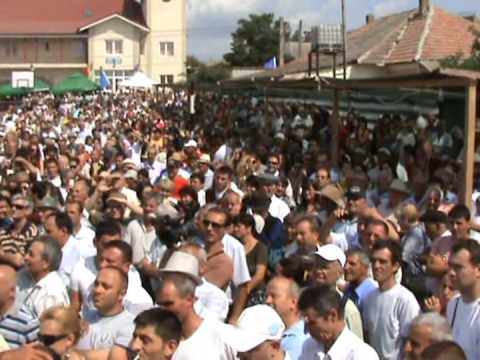 Zilele Culturii Armane ,Tulcea - Stejaru