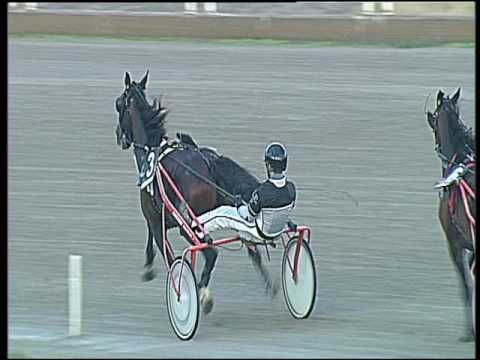 Trotto 20/12/2016 - 3ª corsa