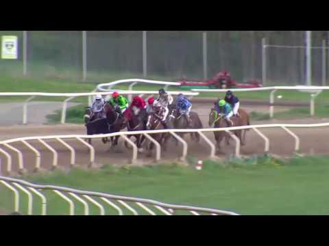 TRIBUTE DAY: Rolf Wuschas Minne 18 Maj 2016, Täby Galopp