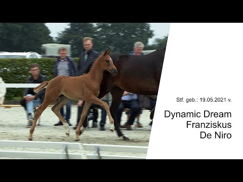 Stf v Dynamic Dream x Franziskus x De Niro 2021