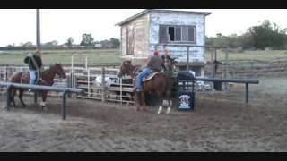 preview picture of video 'Leroy 12 year old bay roan, rope horse.'