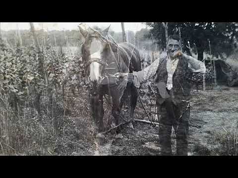 Vigne, volti e vendemmie a Villarbasse