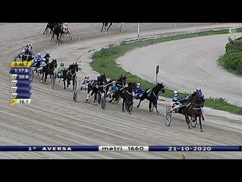 Aversa trotto 21 Ottobre 2020 - 1° Corsa