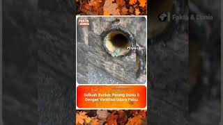 Download lagu begini lah!! bunker perang dunia ke 2, dengan ventilasi palsu, #viral #viralvideotiktok mp3