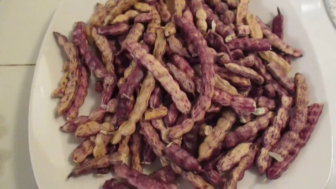 Beneficios de los Mesquites y Como Cocinarlos ya Secos