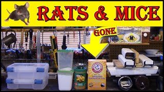 Mice And Rats  -  Best  Non  Toxic  Removal  Formula