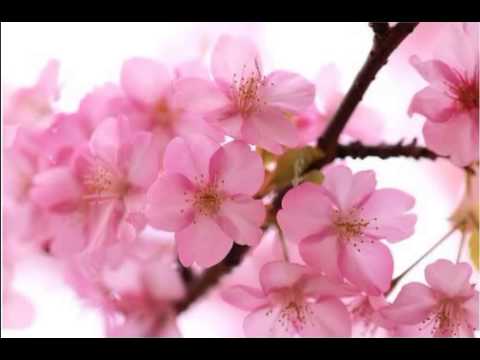 "Sweet Memories (Masaaki Ohmura)" cover by Johny D