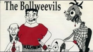 THE BOLLWEEVILS -3 play Punk Rock