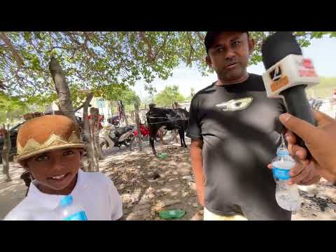 Feira de Cavalos do Bola em Monteiropolis - AL 01 - 2 - 2026 #nordeste