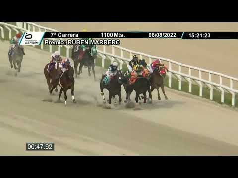 220806 c07 - CAPE VIOLENTO (ARG) - HIPODROMO LAS PIEDRAS