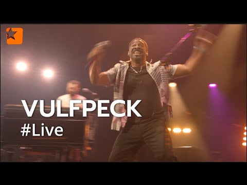 Vulfpeck - 1612 - Live Jazz à Vienne