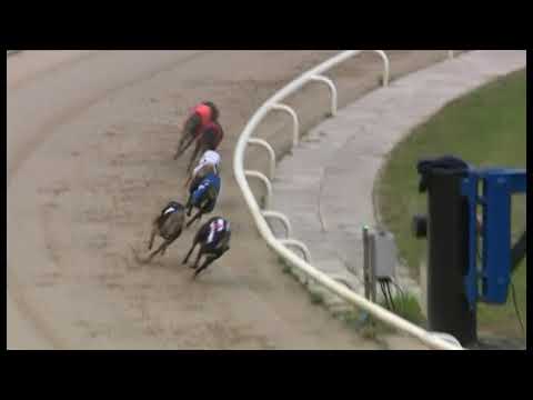 Affleck Bolt - British Bred St Leger Final 2019