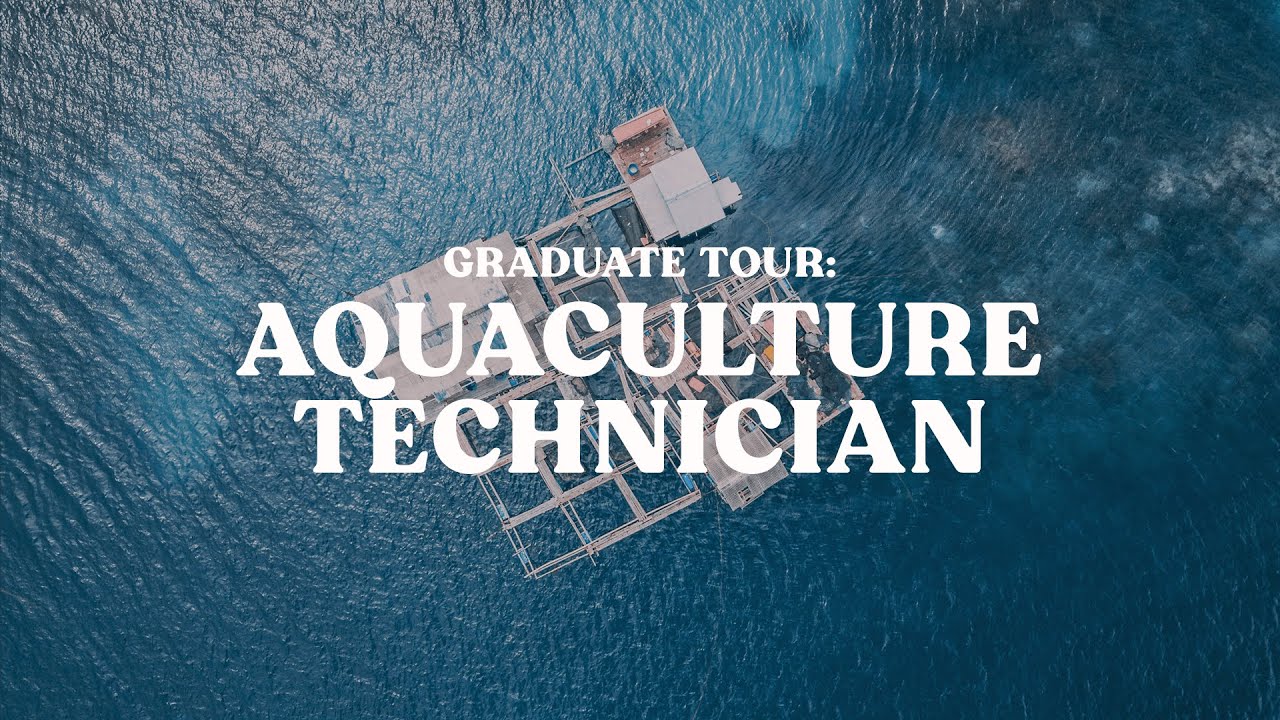 Behind the Scenes: Humpty Doo Barramundi | Graduate Tour | 4 mins with an Aquaculture Technician