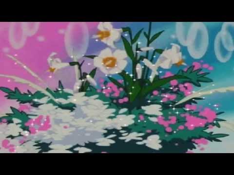 ローマンRoman - Anime Bae