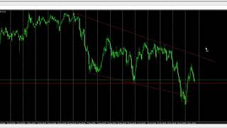 обжорчикус вульгарис- обзорчик обыкновенный