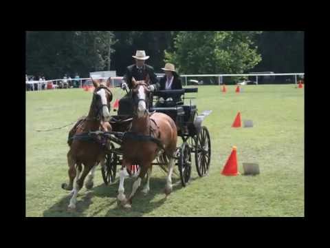 Lovasnap Jászberény 2016