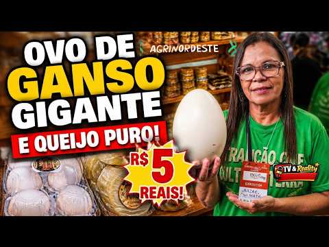 QUANTO CUSTA UM OVO GIGANTE? Encontrei Ovo de Ganso na Agrinordeste!