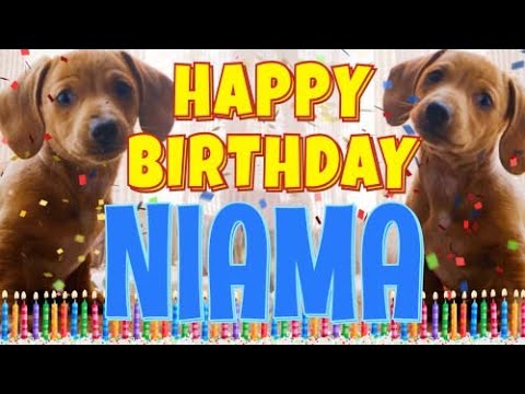 Happy Birthday Niama! ( Funny Talking Dogs ) What Is Free On My Birthday