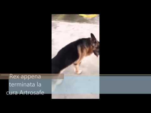 Dove fa male la nevralgia toracica Tintura di cedro per giunti