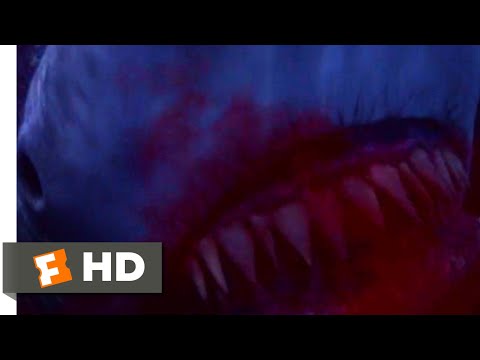 シャーク・レイク (2015) - サメのパンチングシーン (10/10) ｜ MOvieclips (Shark Lake (2015) - Punching a Shark Scene (10/10) | MOvieclips)
