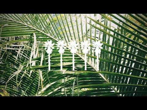 Nebu Mitte feat. Jaselle - With You (Ian Tosel Remix) [Follow The Palms]