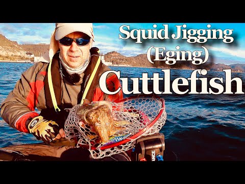 Eging (Squid jigging) #9  - Jigging for Cuttlefish - Kayak Fishing - 4K