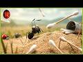 The Great Cotton Swab Battle Minuscule Movie Clip
