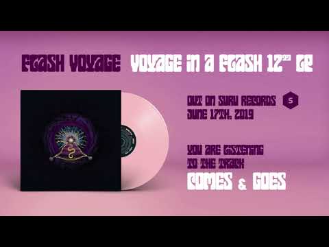 Flash Voyage ~ Comes and Goes