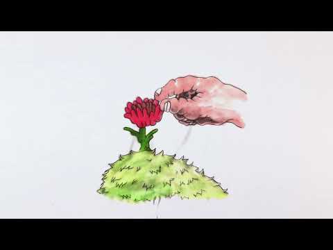 WESLEE - know now (Visualiser)