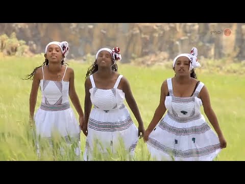 Ethiopian Music : Dajannee Guudataa (damee isaduma) - New Ethiopian Music 2020(Official Video)
