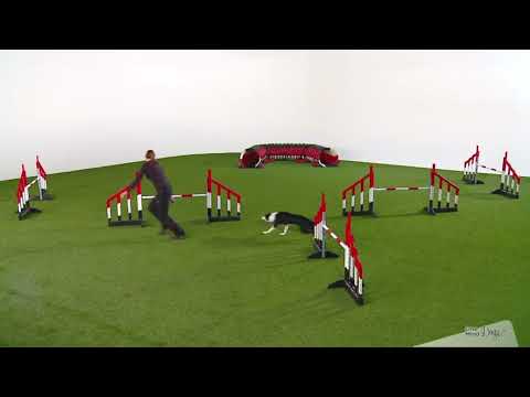 Choosing and applying handling techniques guided course - coming soon!