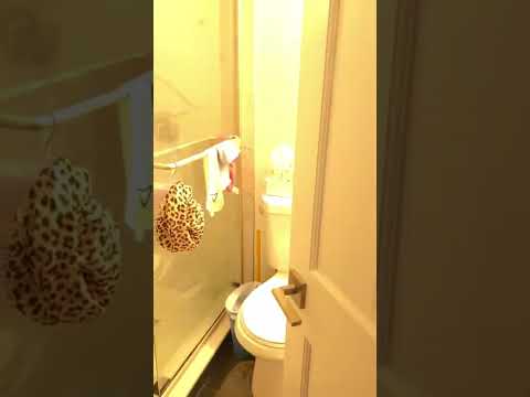 Coolidge Corner BROOKLINE Modern 3bd 2ba property video