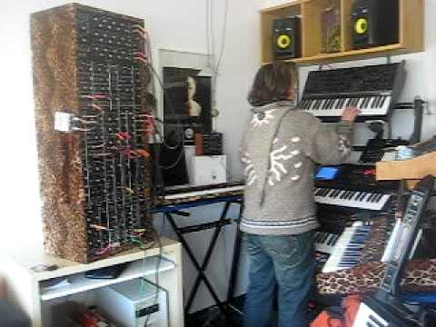 Analogue Synths & sleeping animals in my bed