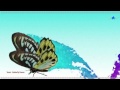 YANNI - Butterfly Dance