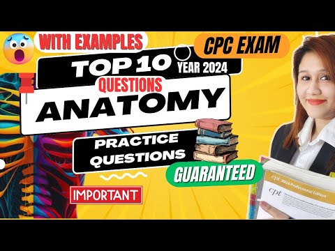 Anatomy Important CPC Exam Questions 2024 | Medical Coding