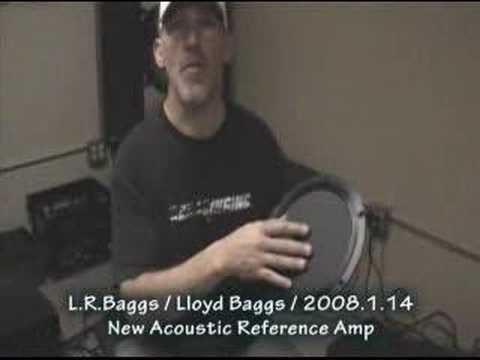 LR Baggs A-REF Acoustic Reference Amplifier image 16