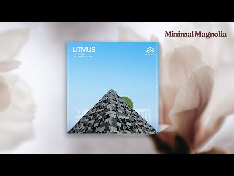 Litmus – Don Marone (Digital Bonus) [UTS10]