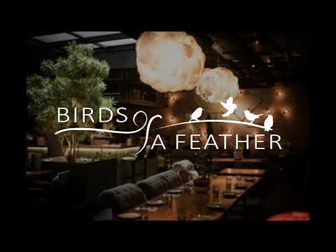 Billie Eilish - Birds Of A Feather (30 minutes Loop, Extended Version, Remix)
